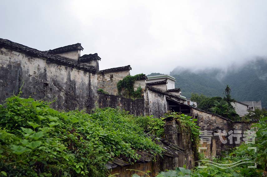 DSC_5906副本（青弋行者水印）小.jpg