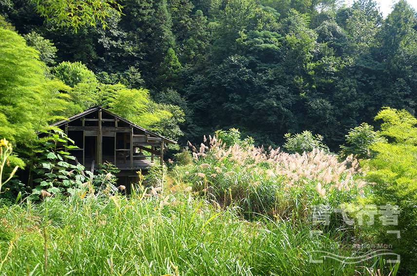 DSC_1013副本(青弋行者水印)小.jpg
